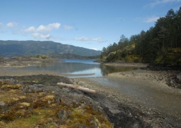 Lasqueti Island Nature Conservancy